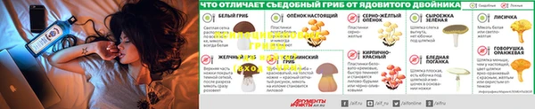 COCAINE Зерноград