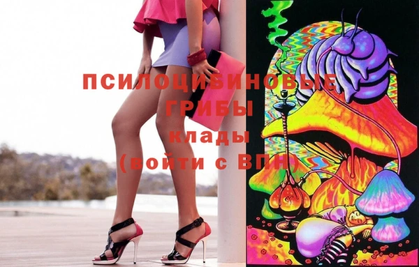 МДПВ Зеленодольск