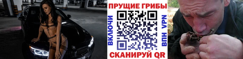 это как зайти Сельцо Псилоцибиновые грибы ЛСД
